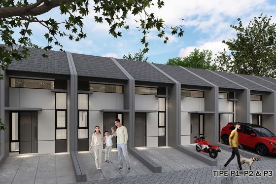 Cluster Pinus P1, P2 & P3